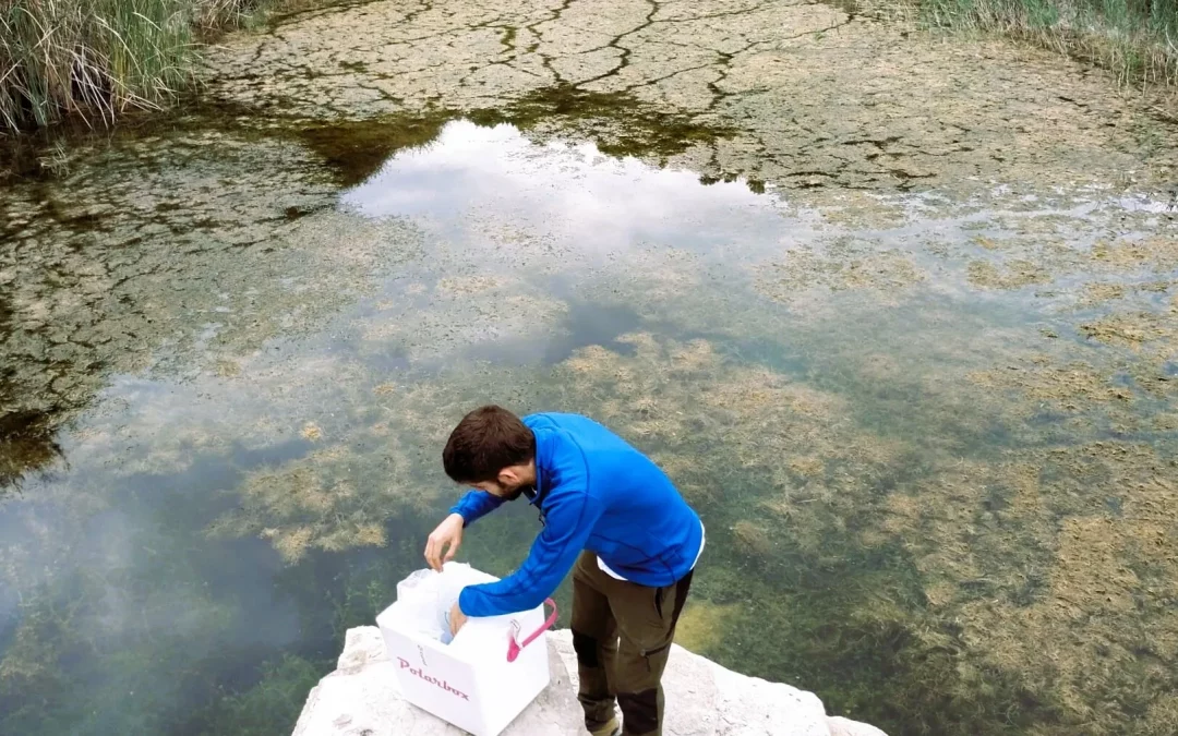 Inventarios y Muestreos de Agua: Herramientas Claves para la Gestión Hídrica