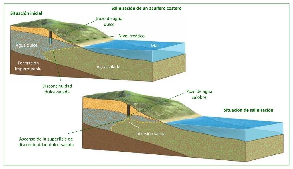 Esquema de un acuífero costero mostrando la intrusión de agua salina hacia el interior por descenso del nivel freático debido a la extracción.