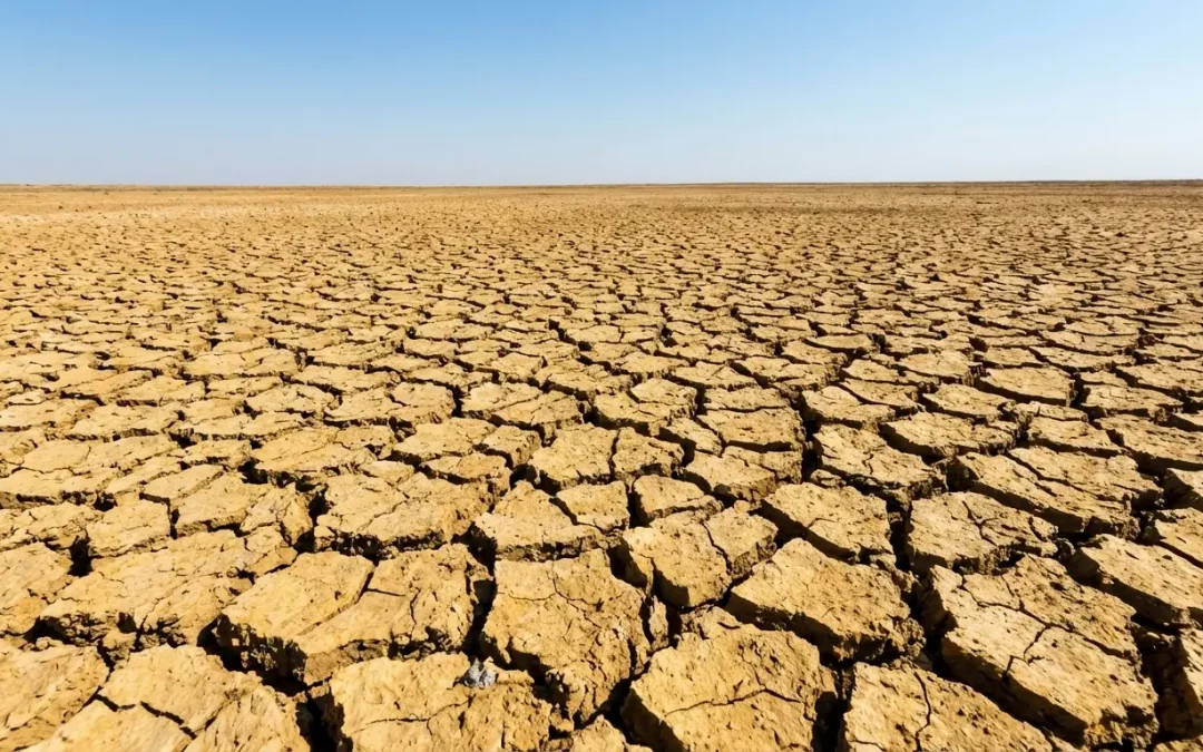 Gestión de Acuíferos en Periodos de Sequía: Estrategias para un Uso Sostenible