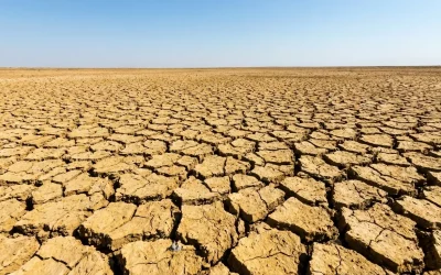 Gestión de Acuíferos en Periodos de Sequía: Estrategias para un Uso Sostenible